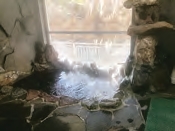 陣馬の湯　旅館　陣渓園