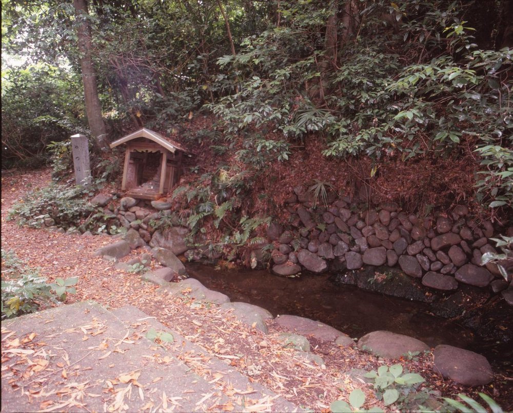 大島水場のヤツボ