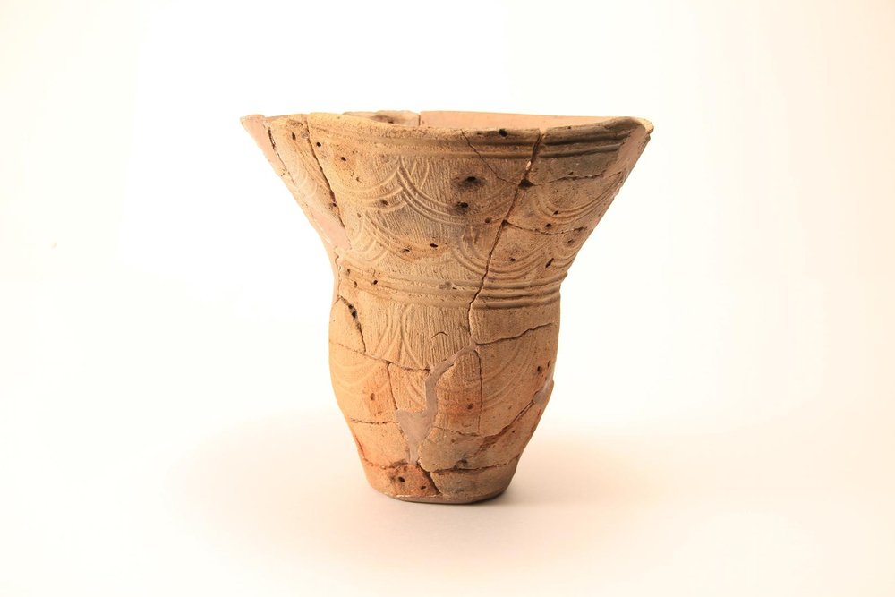 勝坂遺跡Ｄ区出土のマメ圧痕土器