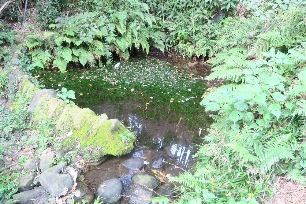 大島古清水上組のヤツボ